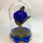 Trandafir criogenat albastru, in cupola
